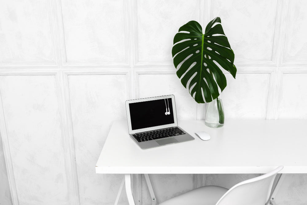 Minimalismus im Büro: Weniger ist mehr für mehr Fokus