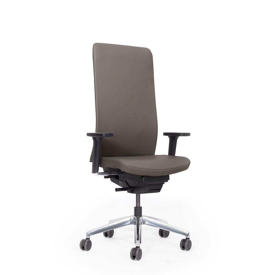 Ergonomischer Bürostuhl | Bezug Leder | lento Agilis Matrix MT13 | auf Rechnung bestellen