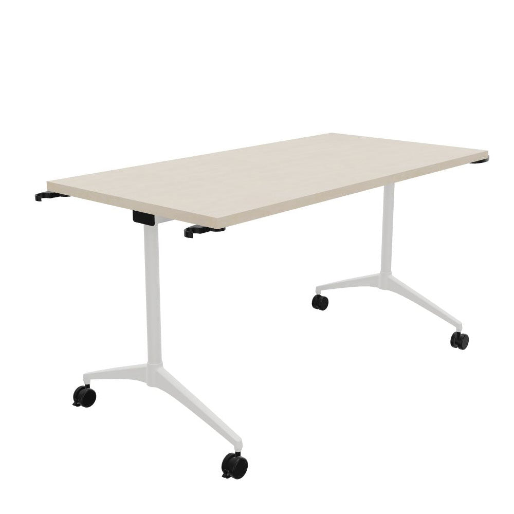 Polarbirke 0039