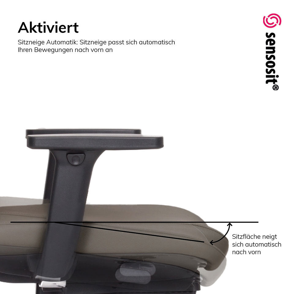 Ergonomischer Bürostuhl | Bezug Leder | lento Agilis Matrix MT13 | auf Rechnung bestellen