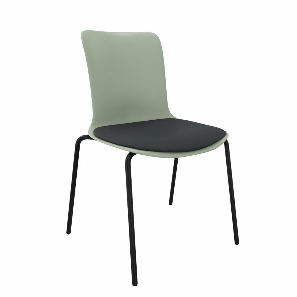 Havana Schwarz YP009