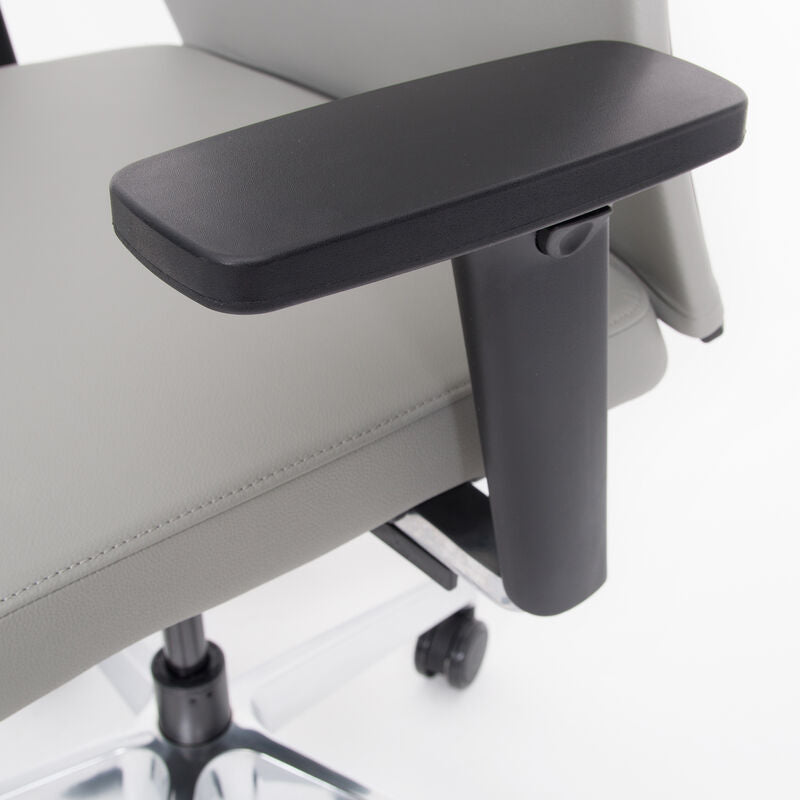 Ergonomischer Bürostuhl Bezug Leder lento Agilis Matrix MT13 - Büromöbel Plus