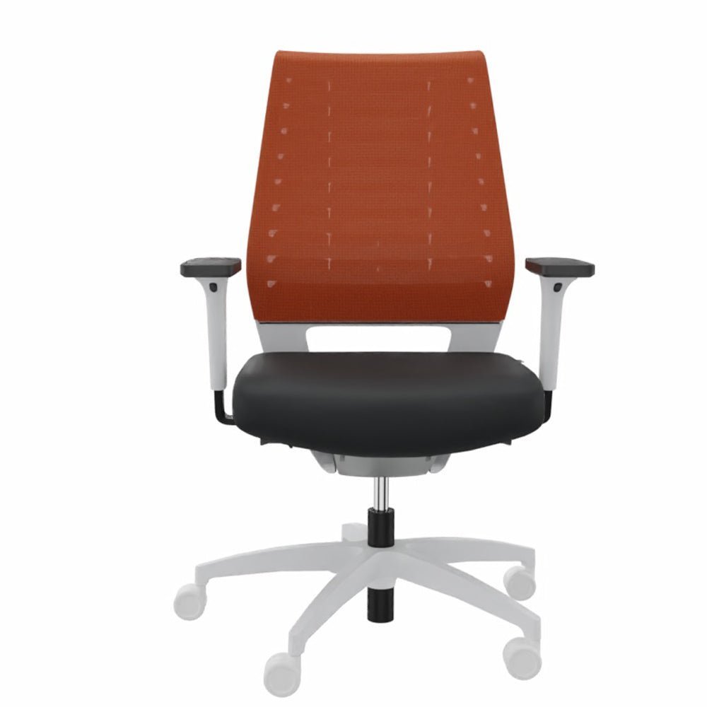 Ergonomischer Bürostuhl Dauphin X - CODE XC 5380 - WEIß - farbige Rücken - Büromöbel Plus