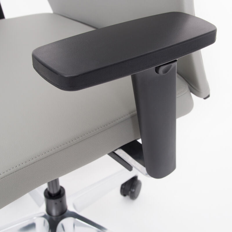 Ergonomischer Bürostuhl Bezug Leder Agilis Matrix MT13 - mit Leichtigkeit gesundes Sitzen - Made in Germany - 30 Jahre Garantie 🇩🇪
