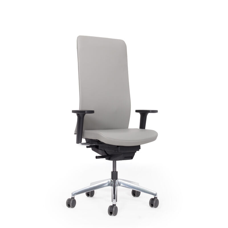 Ergonomischer Bürostuhl Bezug Leder Agilis Matrix MT13 - mit Leichtigkeit gesundes Sitzen - Made in Germany - 30 Jahre Garantie 🇩🇪